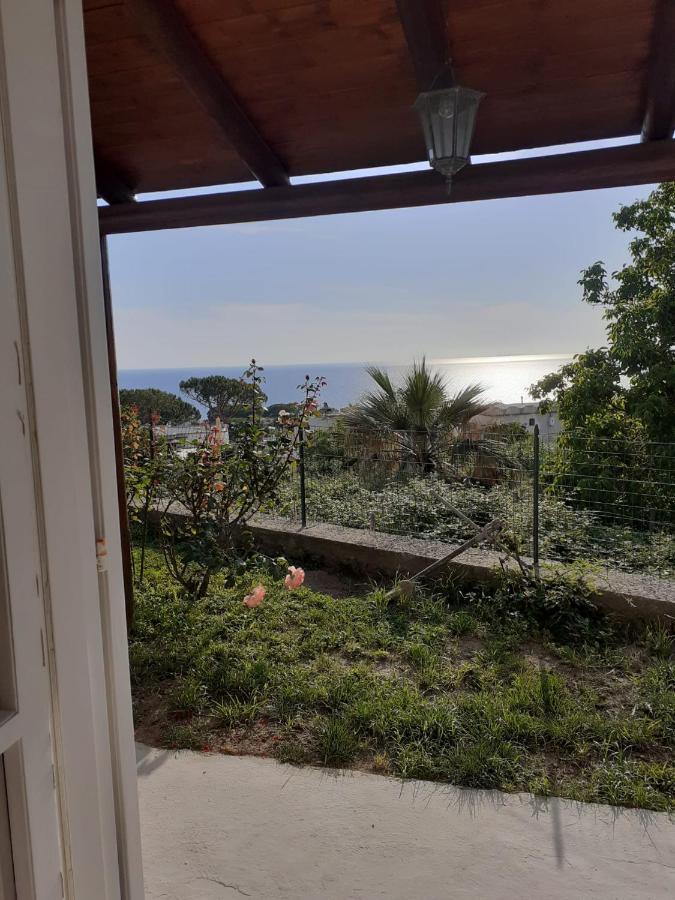 La Terrazzina Sul Tramonto Bed & Breakfast Forio di Ischia Eksteriør bilde