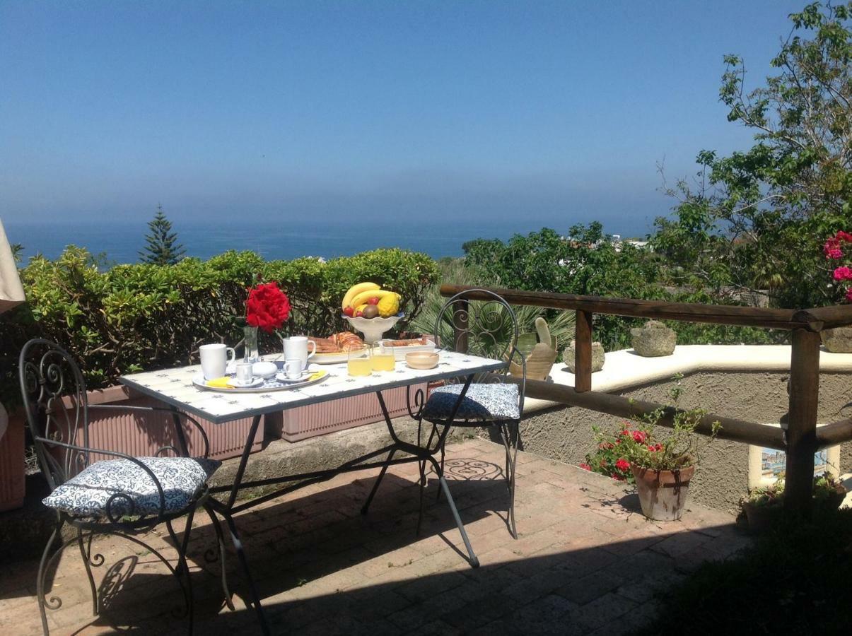 La Terrazzina Sul Tramonto Bed & Breakfast Forio di Ischia Eksteriør bilde