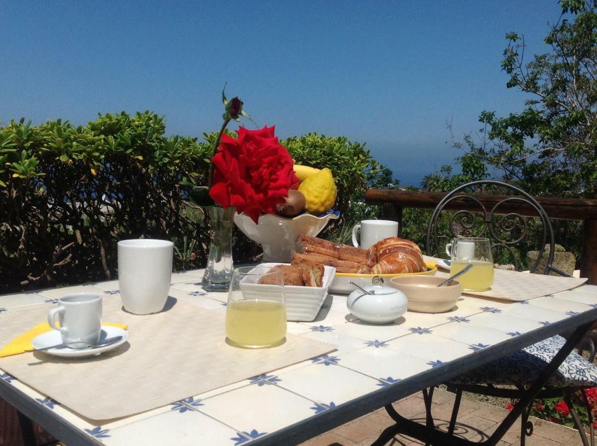 La Terrazzina Sul Tramonto Bed & Breakfast Forio di Ischia Eksteriør bilde