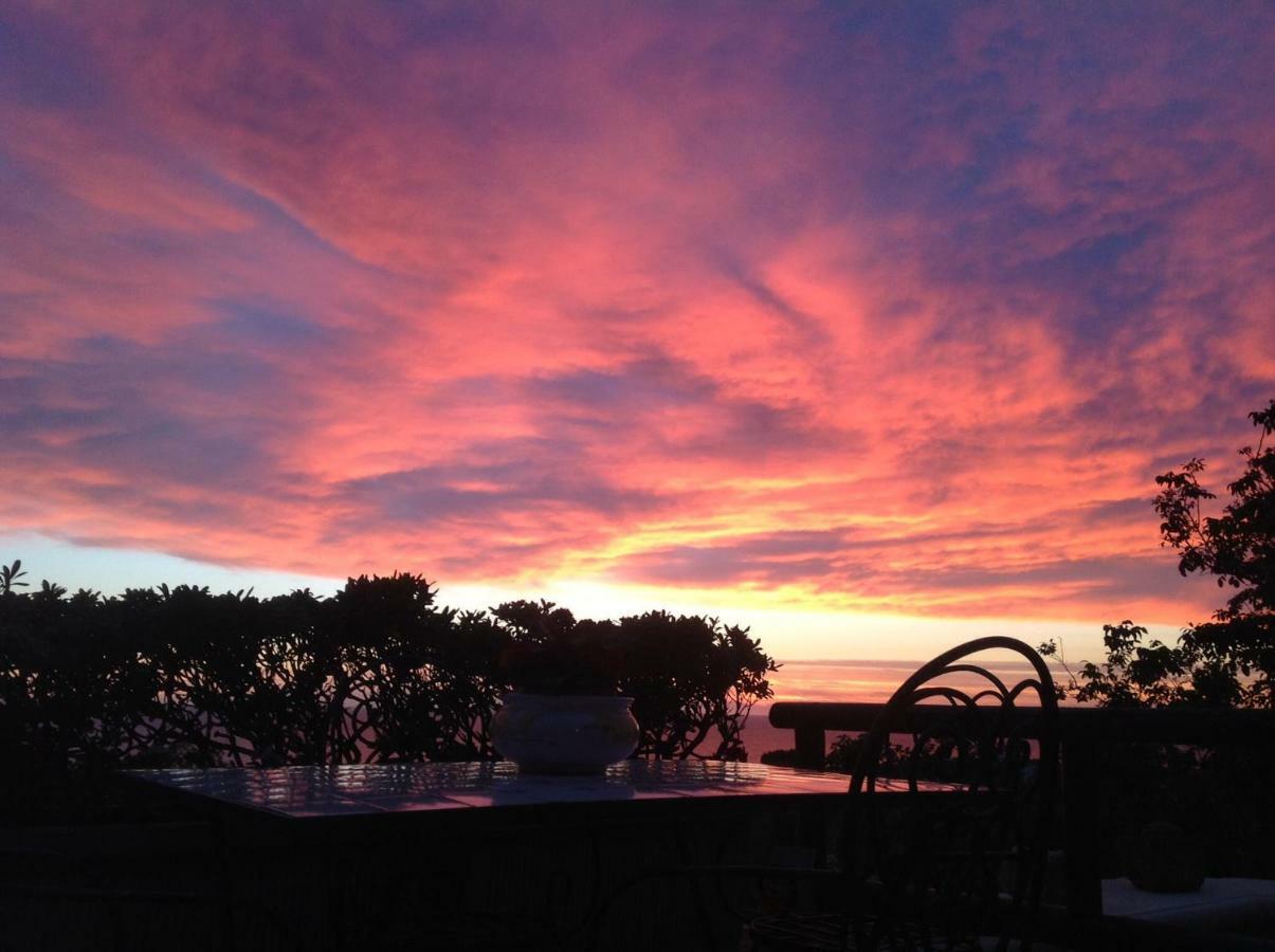 La Terrazzina Sul Tramonto Bed & Breakfast Forio di Ischia Eksteriør bilde